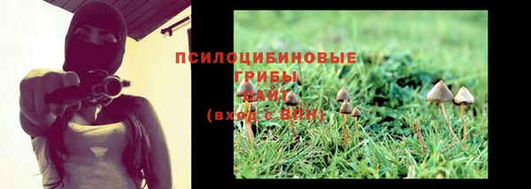 соль ск Волоколамск
