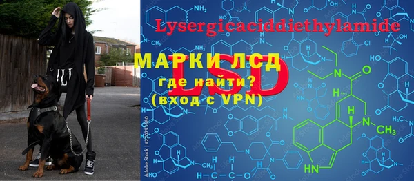 гашик Волосово