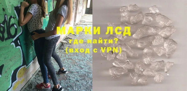 шишки Верея