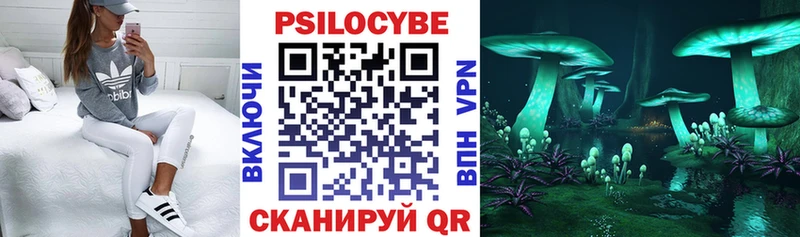 Псилоцибиновые грибы Psilocybe  Березники 